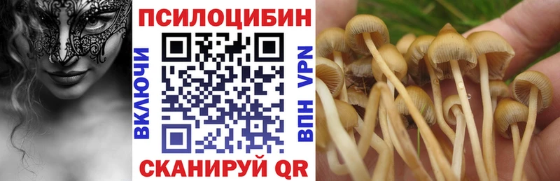 Псилоцибиновые грибы прущие грибы  hydra рабочий сайт  Приозерск 
